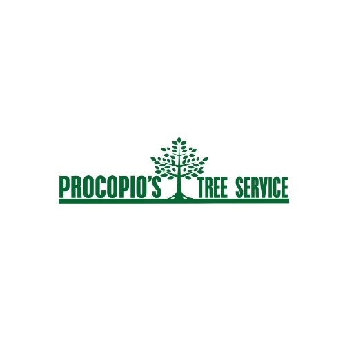 Procopio's Tree Service